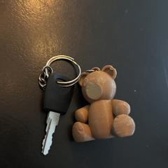 Sleutel met sleutelhanger, as reported to iLost