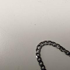 Kettinkje, ha sido reportado por Centraal magazijn con iLost