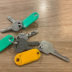 Chiavi & Chiave, come riportato da Gemeente Alkmaar utilizzando iLost