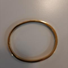 Náramok goudkleurig, ako bolo nahlásené Padualaan 99 pomocou iLost