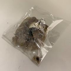 貝殻 & パールのチャーム, segundo informou IKEA鶴浜 usando iLost