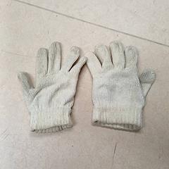 Handschoenen Wit, zoals gemeld door Qbuzz GD Groningen Peizerweg met iLost