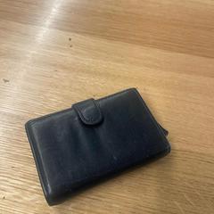 Wallet in Leiden train (trein), as reported to iLost