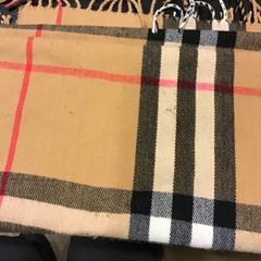 Schal, gemeldet von U-OV Utrecht über iLost