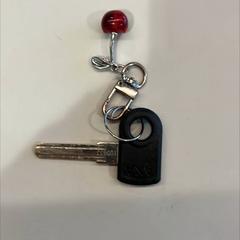 المفاتيح (متنوعة)، كما تم الإبلاغ عنه بواسطة TU/e - Receptie Helix عبر iLost