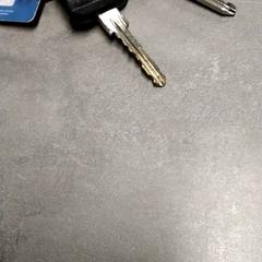 Sleutelbos Zilver, zoals gemeld door Arriva Friesland / Groningen met iLost