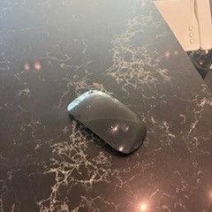 Mouse, as reported by Van der Valk Hotel Veenendaal using iLost