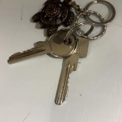 Klucz, zgłoszono przez Fenix przy użyciu iLost