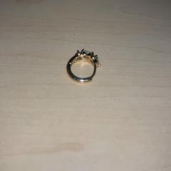 Örhänge, rapporterat av Jaarbeurs med iLost