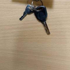 Clés, a été signalé par Centraal magazijn utilisant iLost