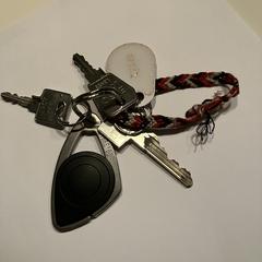 Sleutelbos がiLostに報告されました