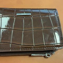 Lommebok Malekzad, som rapportert av Connexxion Amstelland-Meerlanden Schiphol Zuid ved bruk av iLost