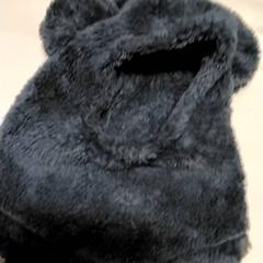 Bivakmuts, iLost를 사용하여 Gemeente Puurs-Sint-Amands에 보고됨