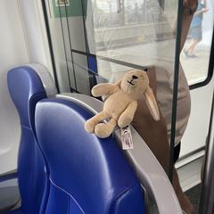 Knuffeltje, som rapporterats till iLost