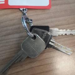 المفاتيح Met aleutelhanger M، كما تم الإبلاغ عنه بواسطة Transdev Hoeksche Waard Goeree Overflakkee عبر iLost
