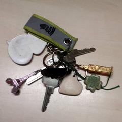 Keys, as reported by Arriva Oost-Brabant using iLost