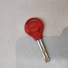 Klíč, jak nahlášeno Rijksmuseum van Oudheden pomocí iLost