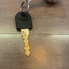 Llave, ha sido reportado por Pathé Arnhem con iLost