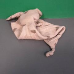 Plyšová facka, jak nahlášeno Diergaarde Blijdorp pomocí iLost