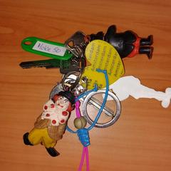 Sleutelbos, a été signalé par RRReis Overijssel / Flevoland-IJsselmond utilisant iLost