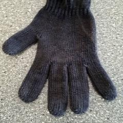 Handschuh, gemeldet von Connexxion Amstelveen über iLost