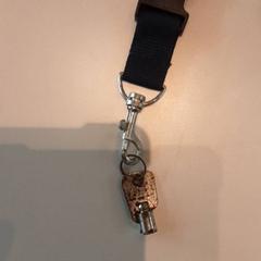 Nøkkel, som rapportert av LUMC ved bruk av iLost