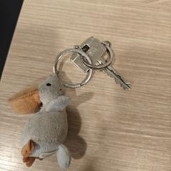 Sleutel met pelikaan, jak zgłoszono do iLost