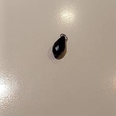 Oorhanger, zoals gemeld door Padualaan 97 met iLost