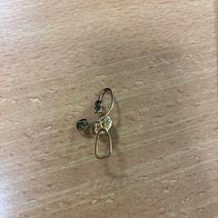 Hajtű goud, amint azt VITAZ campus Sint-Niklaas az iLost segítségével jelentette.