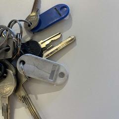 Clauer, segons ha informat Gemeente Noordwijk mitjançant iLost