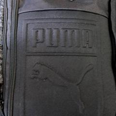 Rugtas Puma, as reported by Arriva Vechtdallijnen using iLost