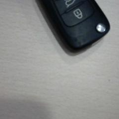 Bilnøkkel zwart, som rapportert av Walibi Holland ved bruk av iLost