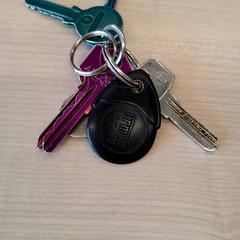 Chiave, come riportato da IKEA Dijon utilizzando iLost