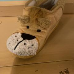 Sko, som rapportert av Familie Resort Molenwaard ved bruk av iLost