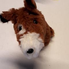 Knuffel, como reportado por Qbuzz ZHN utilizando o iLost