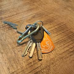 Sleutelbos, come riportato a iLost