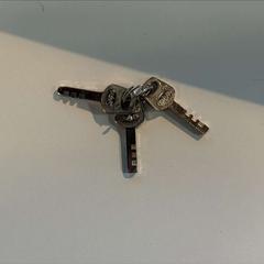 Clés, a été signalé par AFAS Live utilisant iLost