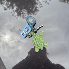 sleutelbos met airtag, iLost에 보고됨