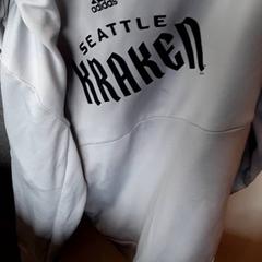 Vesta, jak nahlášeno EBS Tramplein pomocí iLost