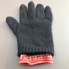 Glove, as reported by Van Gogh Museum using iLost