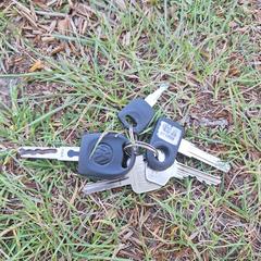 Sleutelbos an iLost gemeldet