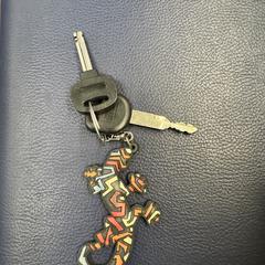2 sleutels met hanger gekleurde lizzard, ha sido reportado a iLost