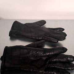 Luvas, segundo informou Keolis Lund usando iLost