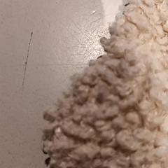 Mysig leksak, rapporterat av De Efteling med iLost