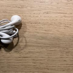 Auricular met kabel, segons ha informat Poppodium 013 mitjançant iLost