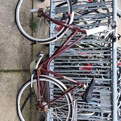 Bicycle Bruin, as reported by Stadswerk072 using iLost