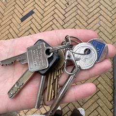 Sleutelbos, come riportato a iLost