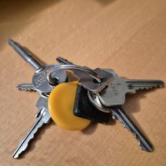 sleutelbos, gerapporteerd met iLost