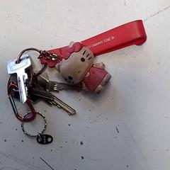 Keys, as reported by Hermes Eindhoven using iLost