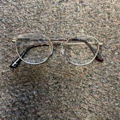 Gafas, ha sido reportado por Burgers' Zoo con iLost